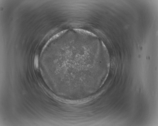 X0000083600046200702231757