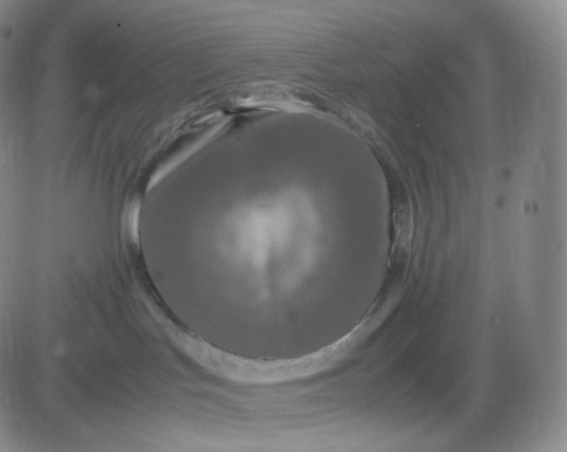 X0000083600047200702231757