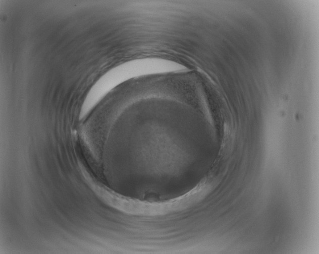 X0000083600048200702231757