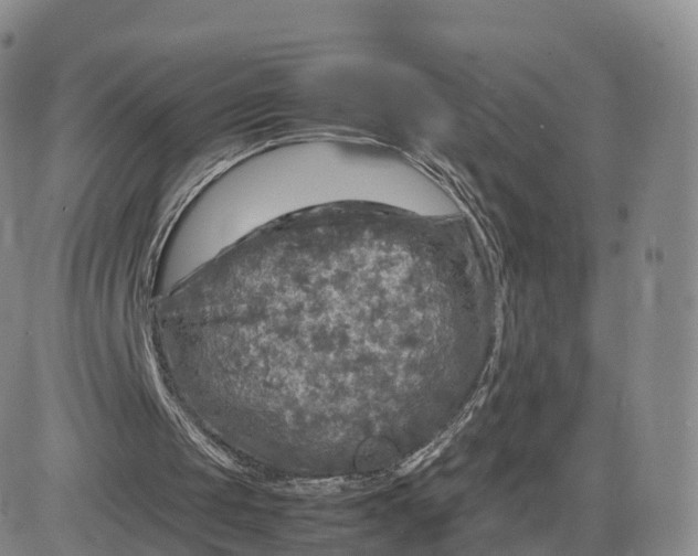 X0000083600049200702231757