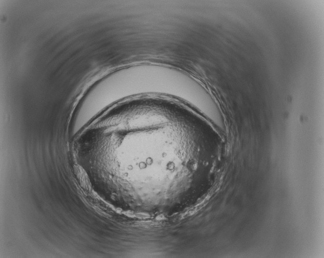 X0000083600050200702231757