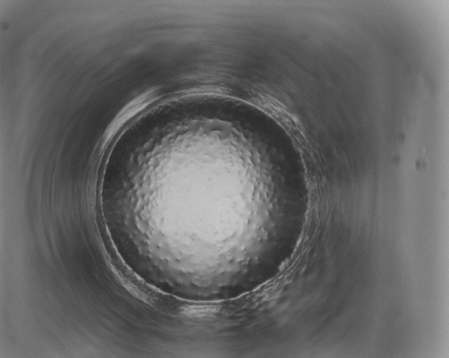 X0000083600051200702231757