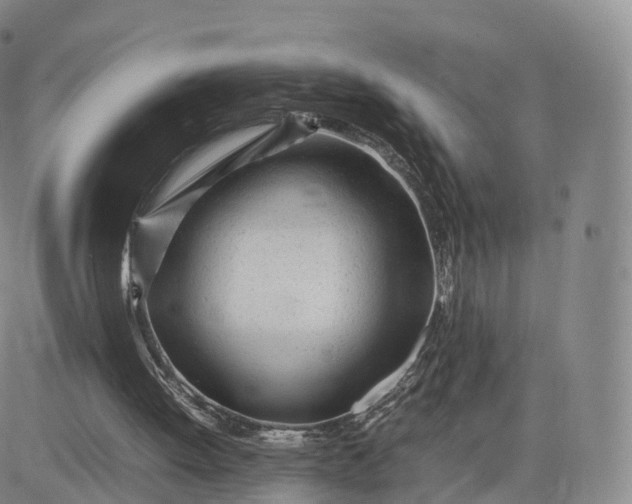 X0000083600052200702231757