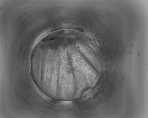 X0000083600053200702231757