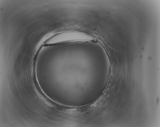 X0000083600054200702231757