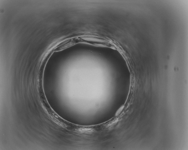 X0000083600055200702231757