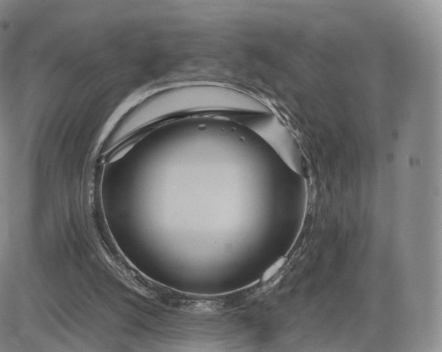 X0000083600056200702231757