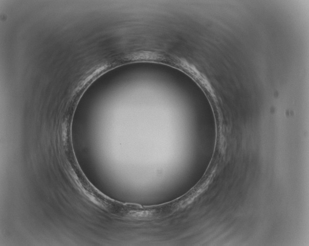 X0000083600057200702231757