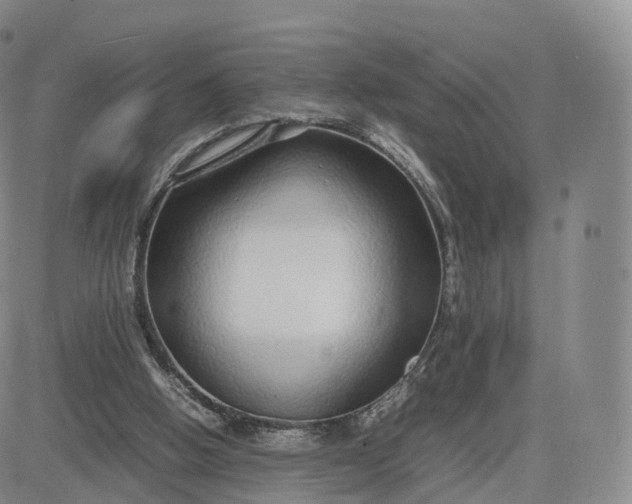 X0000083600058200702231757