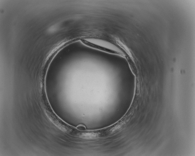 X0000083600059200702231757