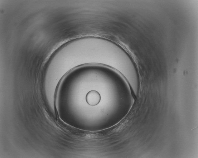 X0000083600060200702231757