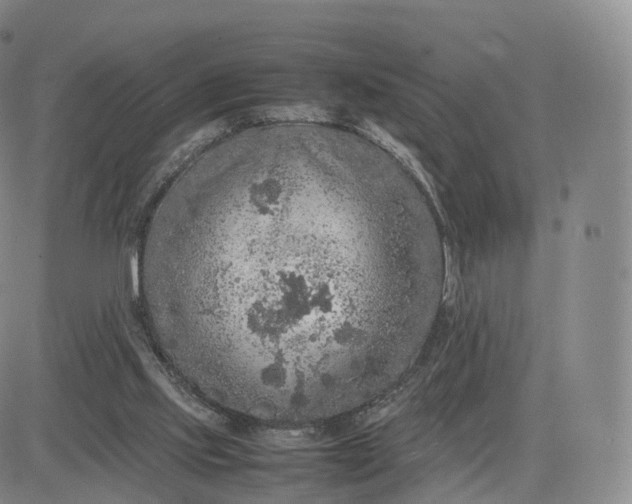 X0000083600061200702231757