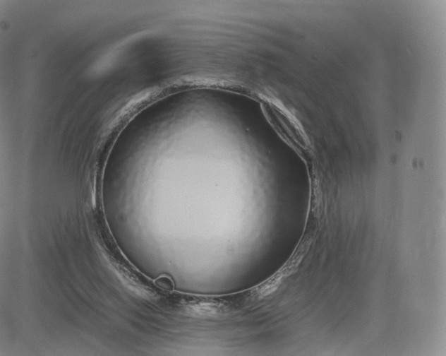 X0000083600062200702231757