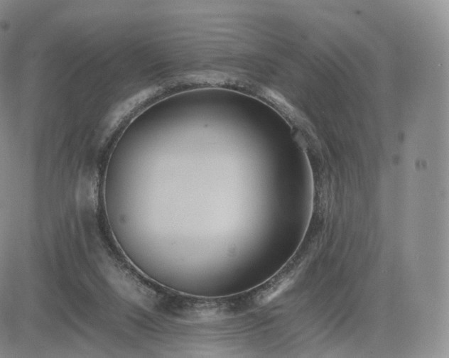 X0000083600064200702231757