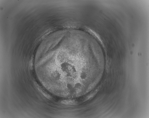 X0000083600065200702231757