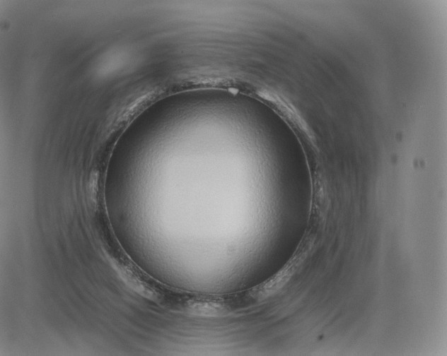 X0000083600066200702231757