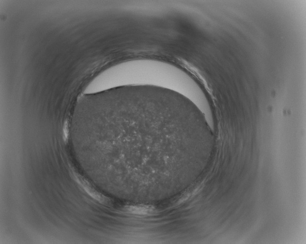 X0000083600069200702231757