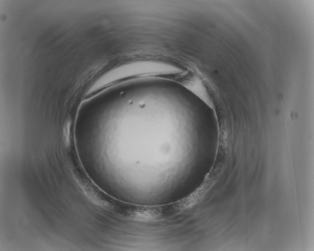 X0000083600070200702231757