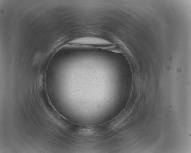 X0000083600071200702231757