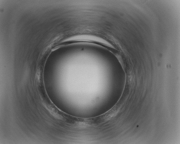 X0000083600072200702231757