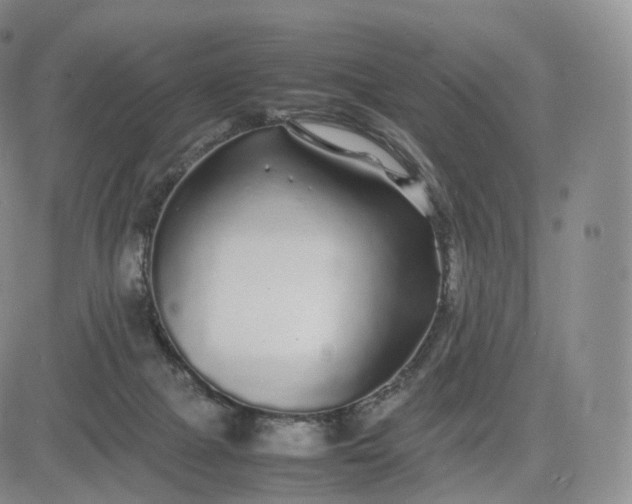 X0000083600073200702231757