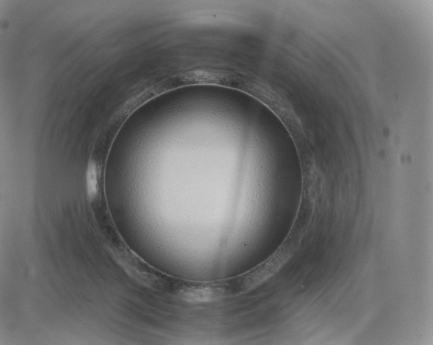 X0000083600075200702231757