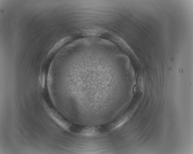 X0000083600076200702231757