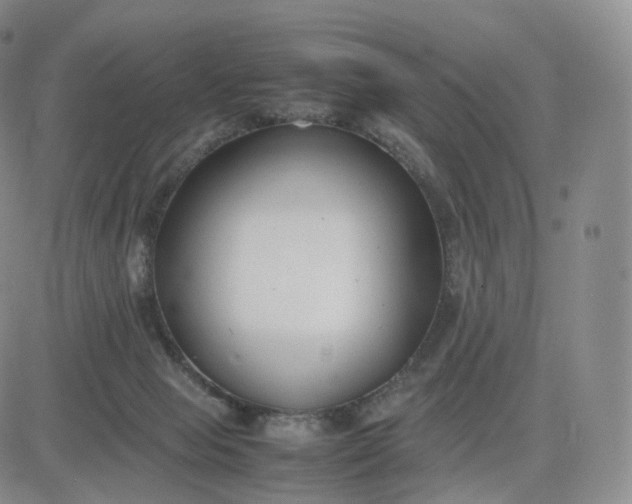 X0000083600077200702231757