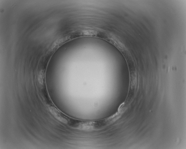 X0000083600078200702231757