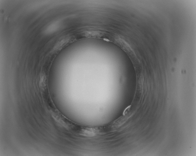 X0000083600079200702231757