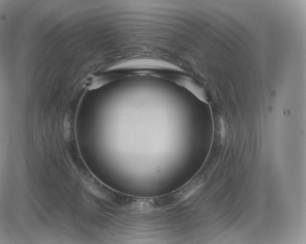 X0000083600080200702231757