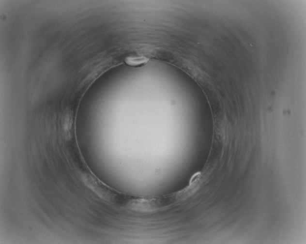 X0000083600082200702231757