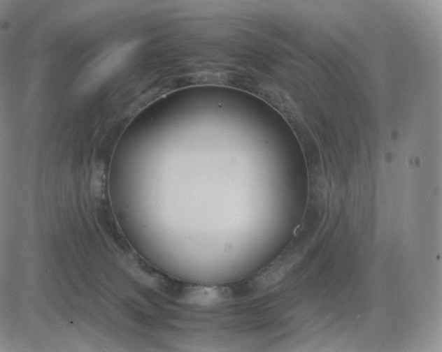 X0000083600083200702231757