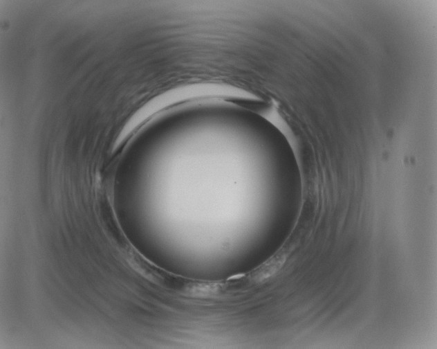 X0000083600084200702231757