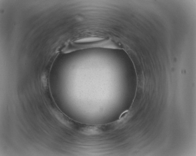 X0000083600086200702231757