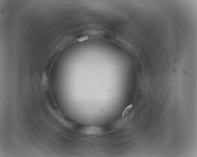 X0000083600087200702231757