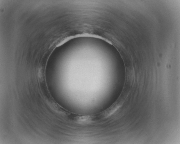 X0000083600088200702231757