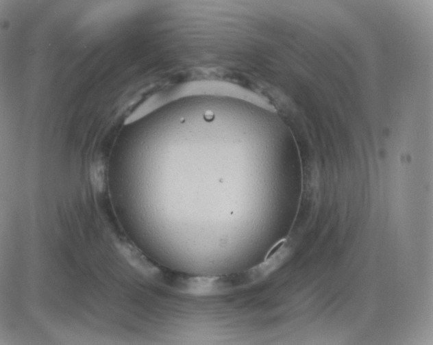 X0000083600090200702231757