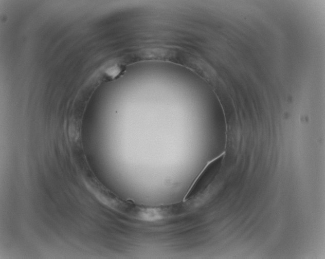 X0000083600091200702231757