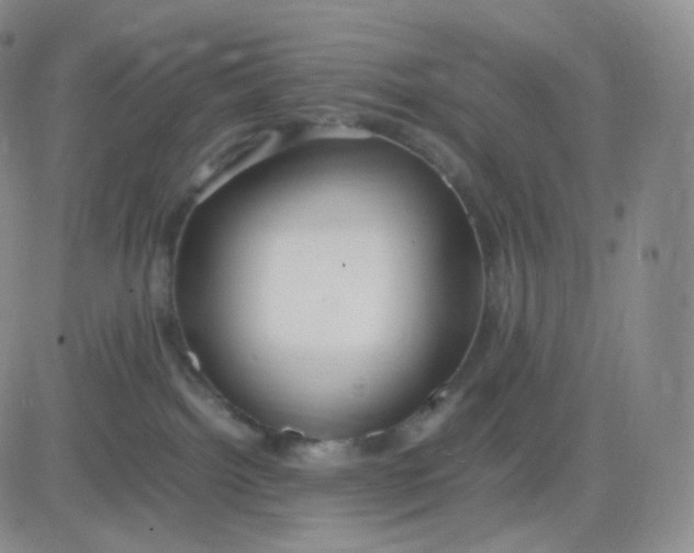 X0000083600092200702231757