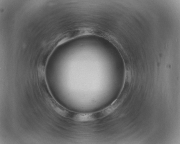 X0000083600093200702231757