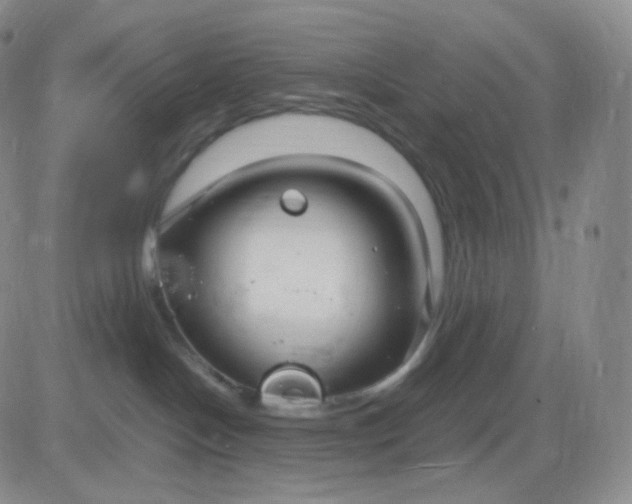 X0000083600094200702231757