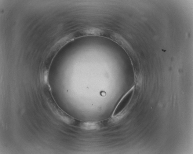 X0000083600095200702231757