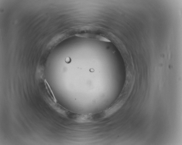 X0000083600096200702231757