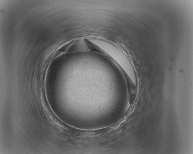 X0000083600097200702231757