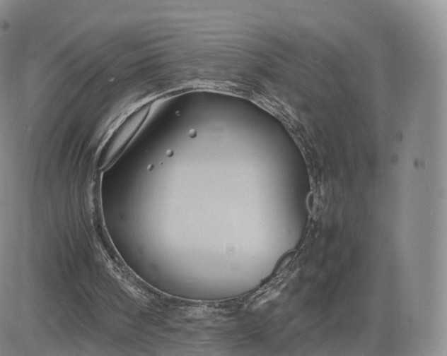 X0000083600098200702231757