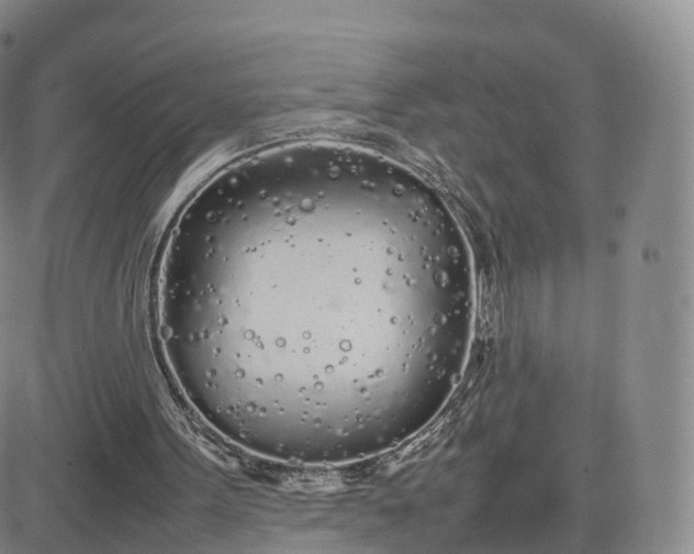 X0000083600099200702231757