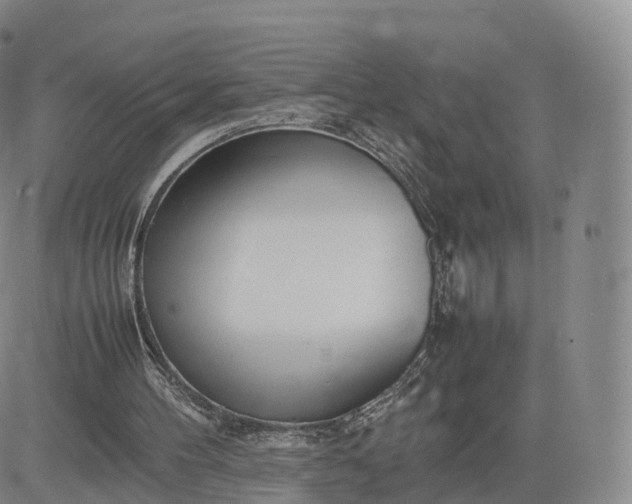 X0000083600100200702231757