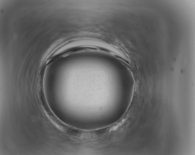 X0000083600101200702231756