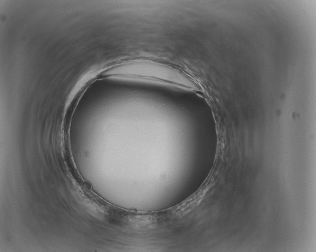 X0000083600102200702231756